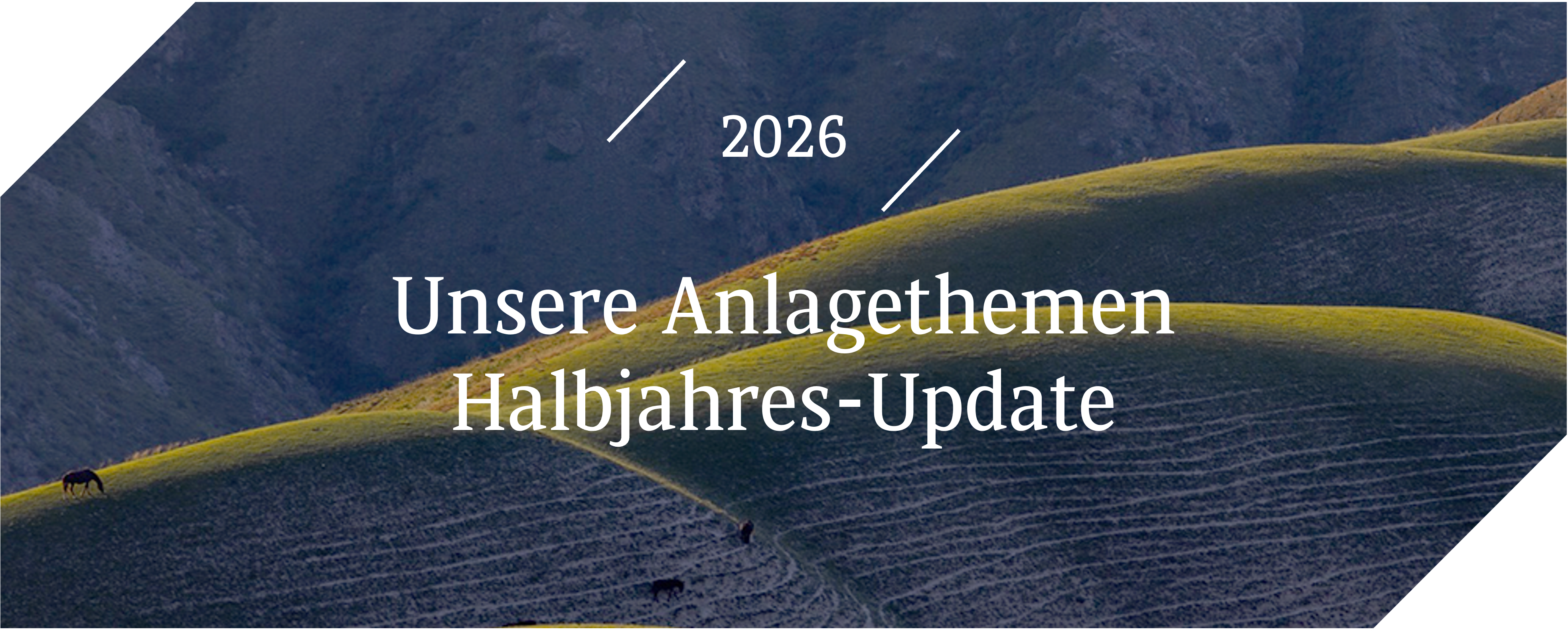 Unsere Anlagethemen 2026 Halbjahres-Update