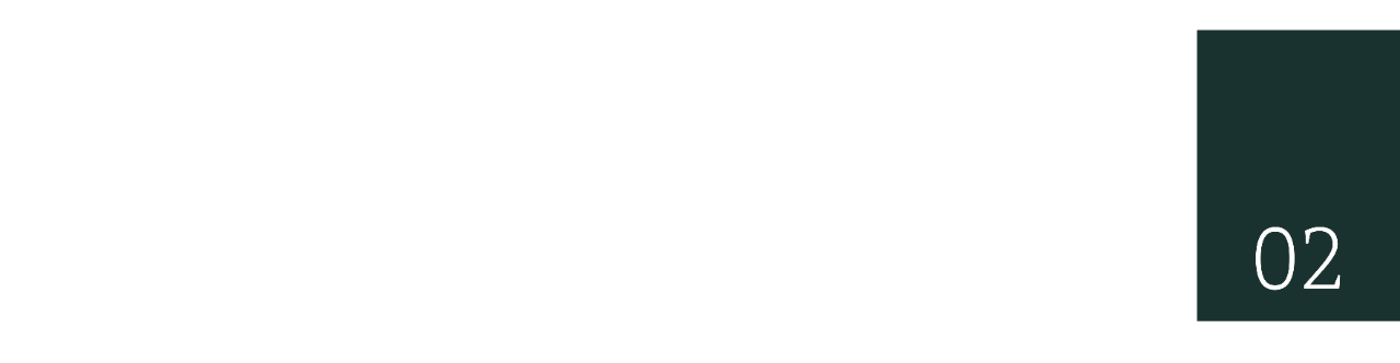 Début de la deuxième section