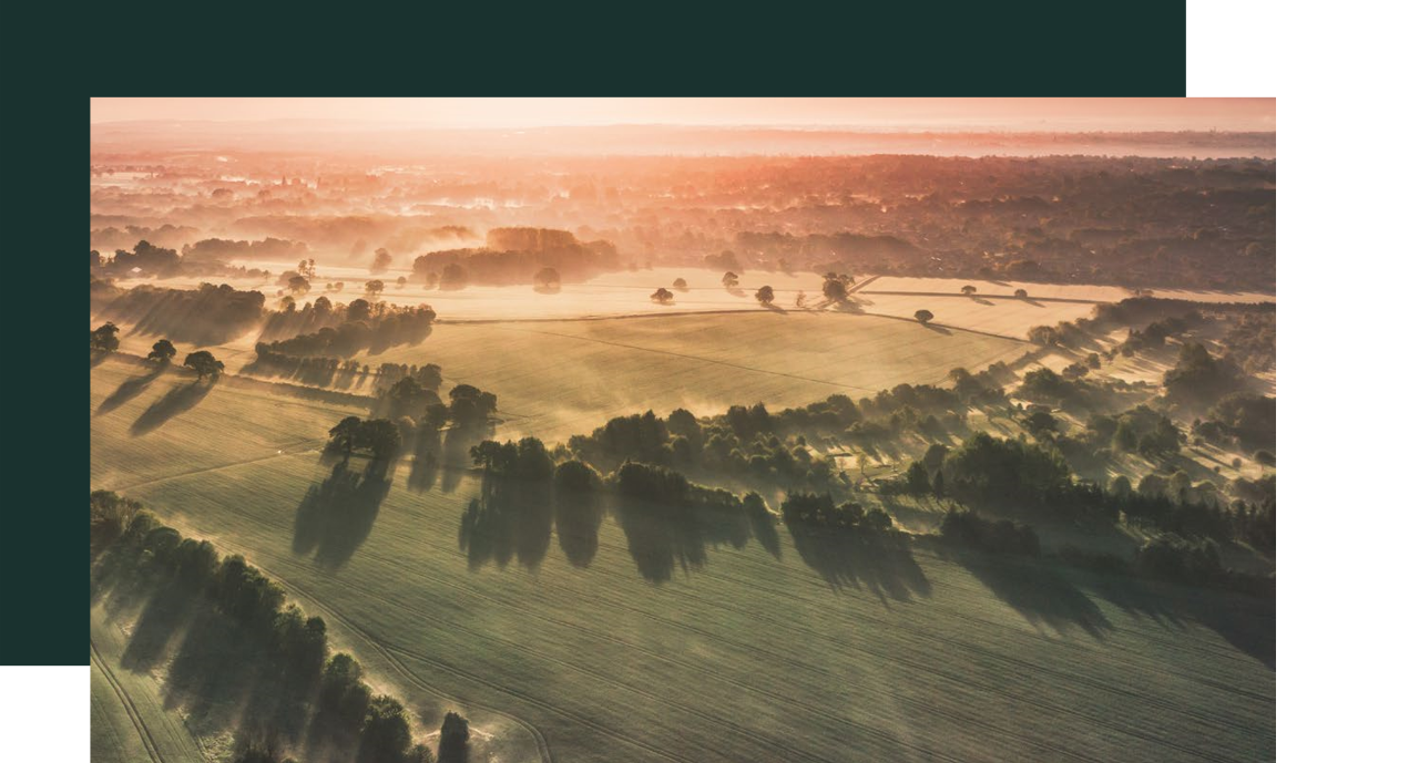 A field of the agricultural market